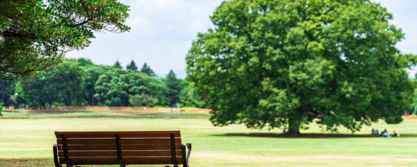 mobilier urbain banc